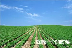 就我一个的时候