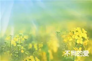 不同的爱