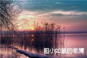 胆小如鼠的老鹰