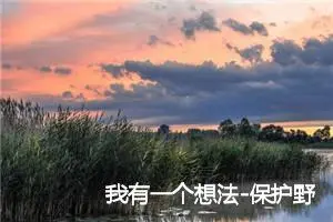 我有一个想法-保护野生动物