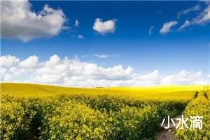 小水滴