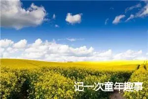 记一次童年趣事