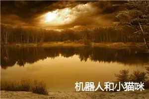 机器人和小猫咪