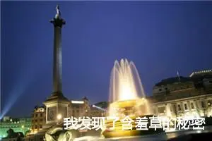 我发现了含羞草的秘密