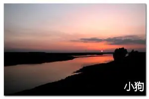 小狗