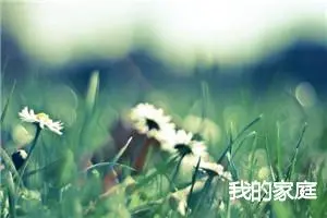 我的家庭