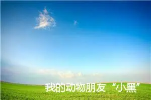 我的动物朋友“小黑”