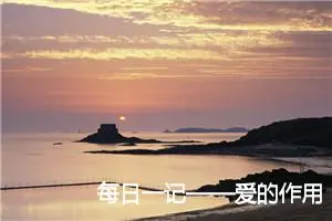 每日一记——爱的作用