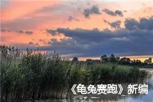 《龟兔赛跑》新编