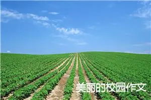 美丽的校园作文