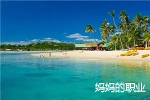 妈妈的职业