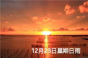 12月23日星期日雨