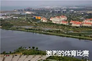 激烈的体育比赛