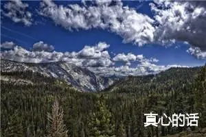 真心的话
