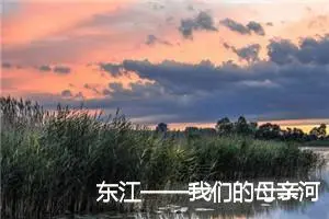 东江——我们的母亲河
