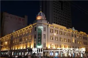 ；黄山——千姿百态奇松傲然