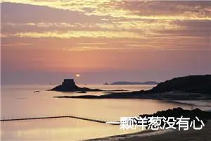 一颗洋葱没有心