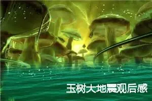 玉树大地震观后感