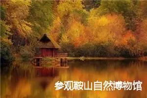 参观鞍山自然博物馆