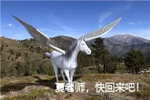 夏老师，快回来吧！