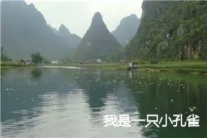 我是一只小孔雀