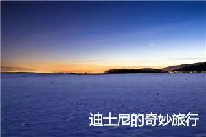 迪士尼的奇妙旅行