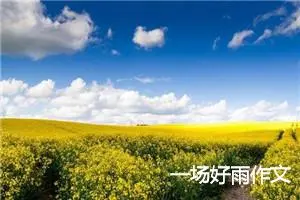 一场好雨作文