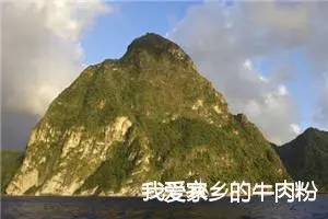 我爱家乡的牛肉粉