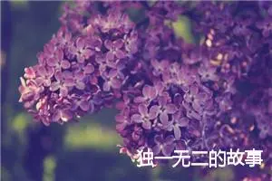 独一无二的故事