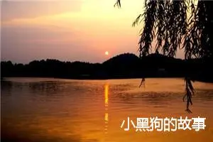 小黑狗的故事