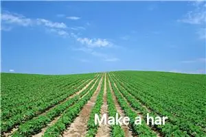 Make a harmonious society