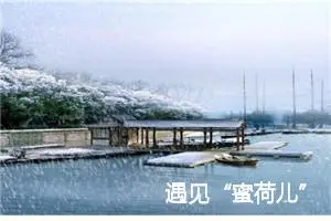 遇见“蜜荷儿”