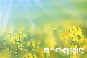 两个坏掉的甜瓜