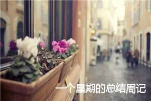 一个星期的总结周记