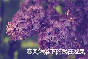 春风沐浴下的我在发呆