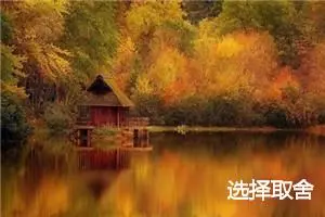选择取舍