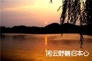 闲云野鹤归本心