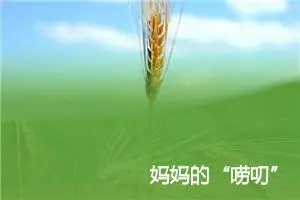 妈妈的“唠叨”