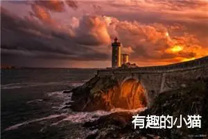 有趣的小猫
