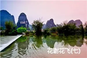 花谢花飞(七)