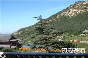 孤寂苍凉