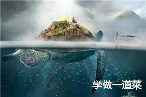 学做一道菜