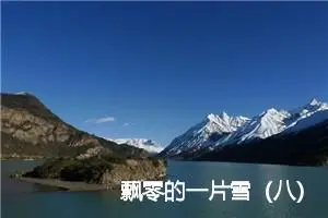 飘零的一片雪（八）