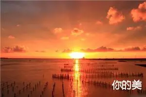 你的美