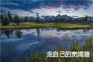 走自己的宽阔路