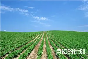 月初的计划