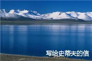 写给史蒂夫的信