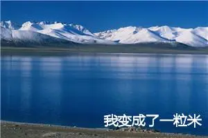 我变成了一粒米