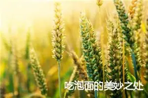 吃泡面的美妙之处