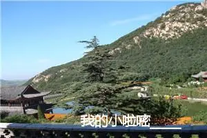 我的小啦嘧______ 鹩 哥